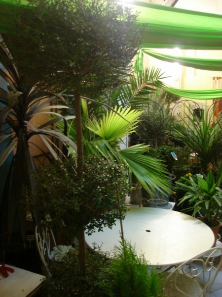 Notre zone d'activité pour ce service Location et vente de fleurs et plantes séchées et stabilisées pour murs et plafonds