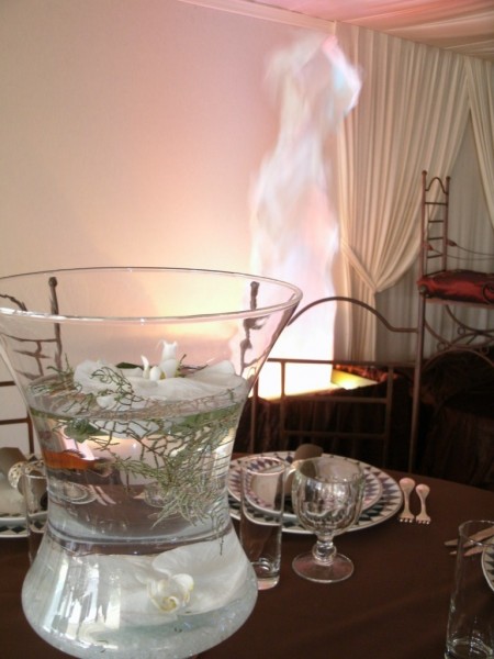 Nos prestations sur le secteur de Cannes Alpes-Maritimes