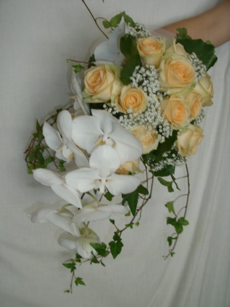Nos prestations sur le secteur de Aix-en-Provence 13