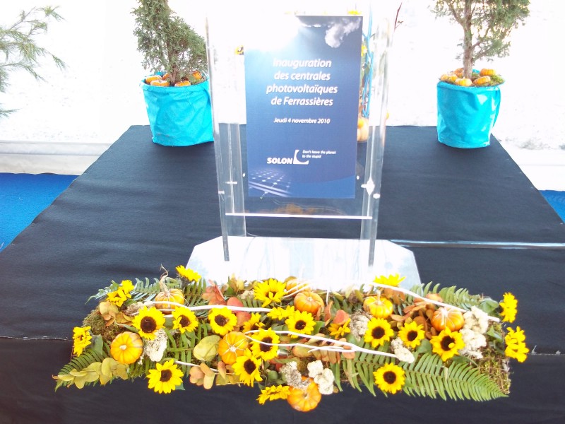 Notre zone d'activité pour ce service Location de plantes artificielles et végétaux pour événements privés ou professionnels