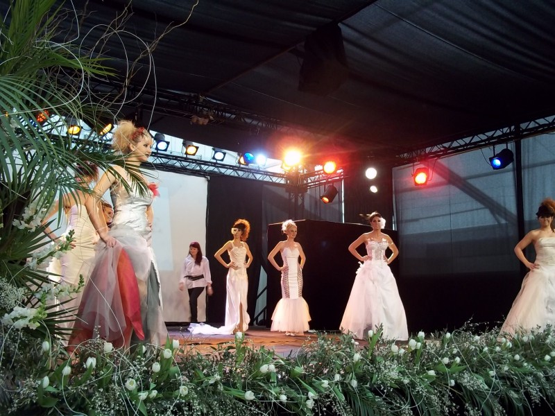 Notre zone d'activité pour ce service Location de plantes pour événementiel et stand de foire, salon, exposition ou congrès