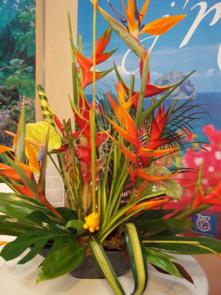 Notre zone d'activité pour ce service Location de plantes pour événementiel et stand de foire, salon, exposition ou congrès