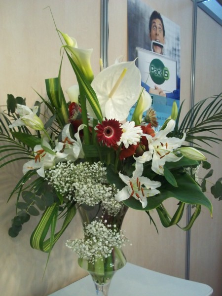 Notre zone d'activité pour ce service Location de plantes artificielles et végétaux pour événements privés ou professionnels