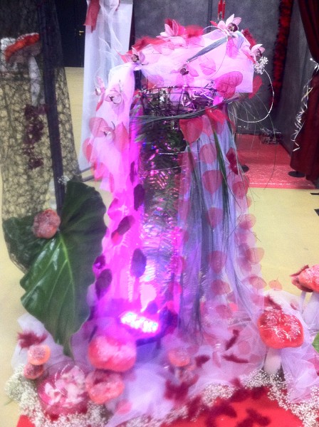 Nos prestations sur le secteur de Montpellier Hérault