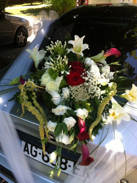 Notre zone d'activité pour ce service Location de plantes pour décoration florale de mariage